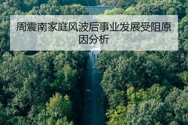 zhou-zhen-nan-jia-ting-feng-bo-hou-shi-ye-fa-zhan-shou-zu-yuan-yin-fen-xi-2-343.jpg